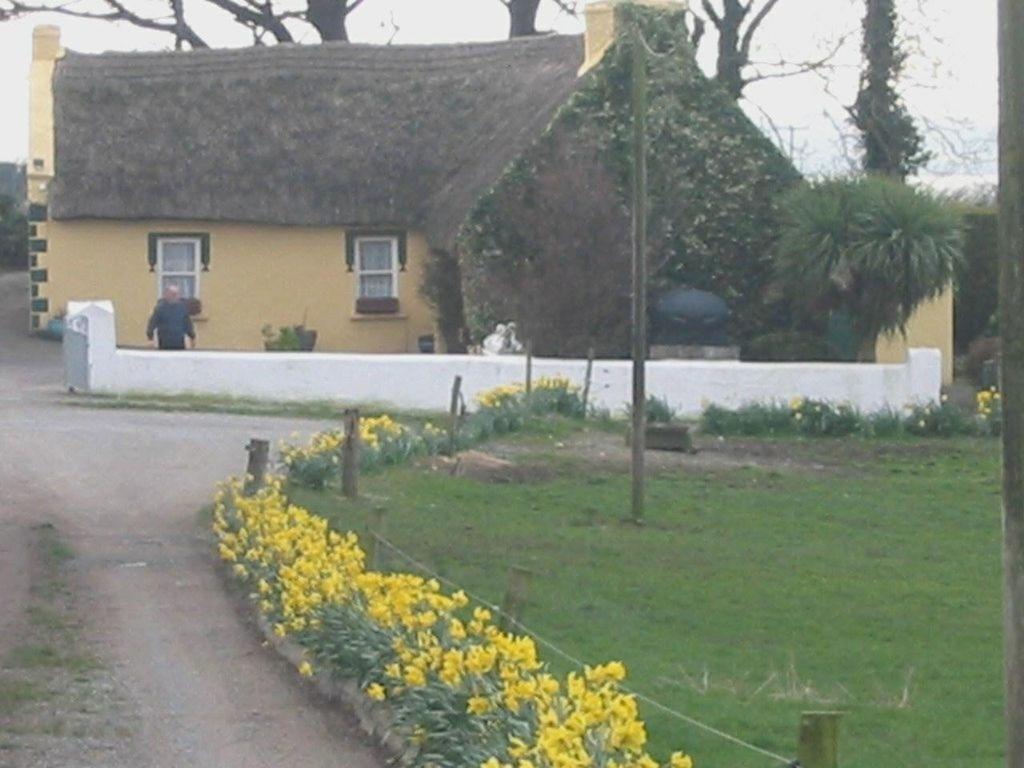 Knights Haven Bed and Breakfast Glin Exteriör bild